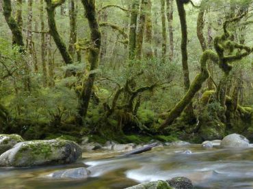 Victoria Conservation Park